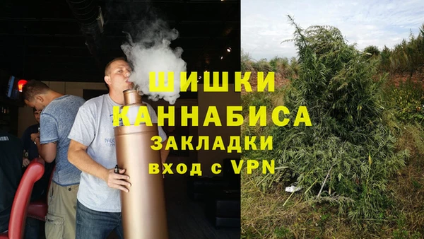 стаф Дмитров