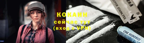 соль ск Дмитровск