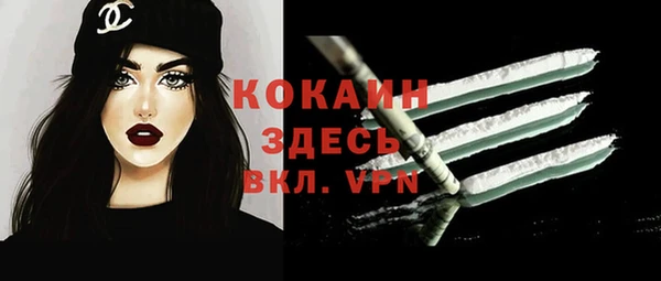 стаф Дмитров