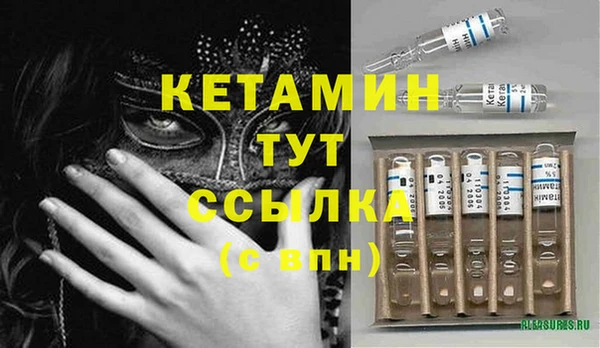 стаф Дмитров