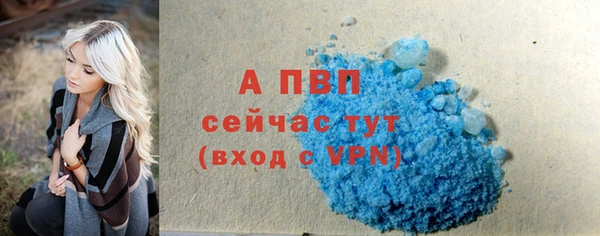 стаф Дмитров