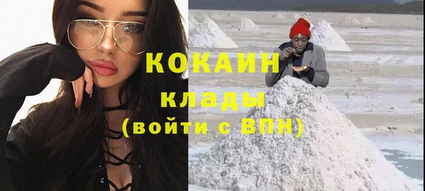 стаф Дмитров
