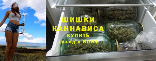 стаф Дмитров