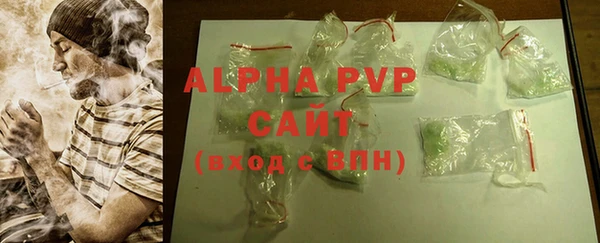 стаф Дмитров